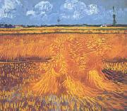 Wheatfields With Cypress at Arles, Vincent Van Gogh